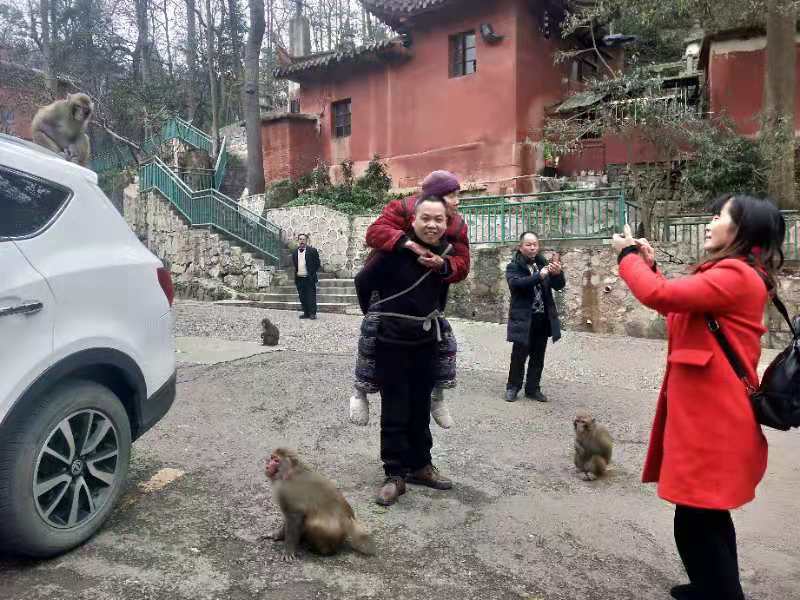 邵阳孝子背81岁瘫痪母亲去贵州看风景感动全网，潇湘晨报联合阿里天天正能量奖励5000元