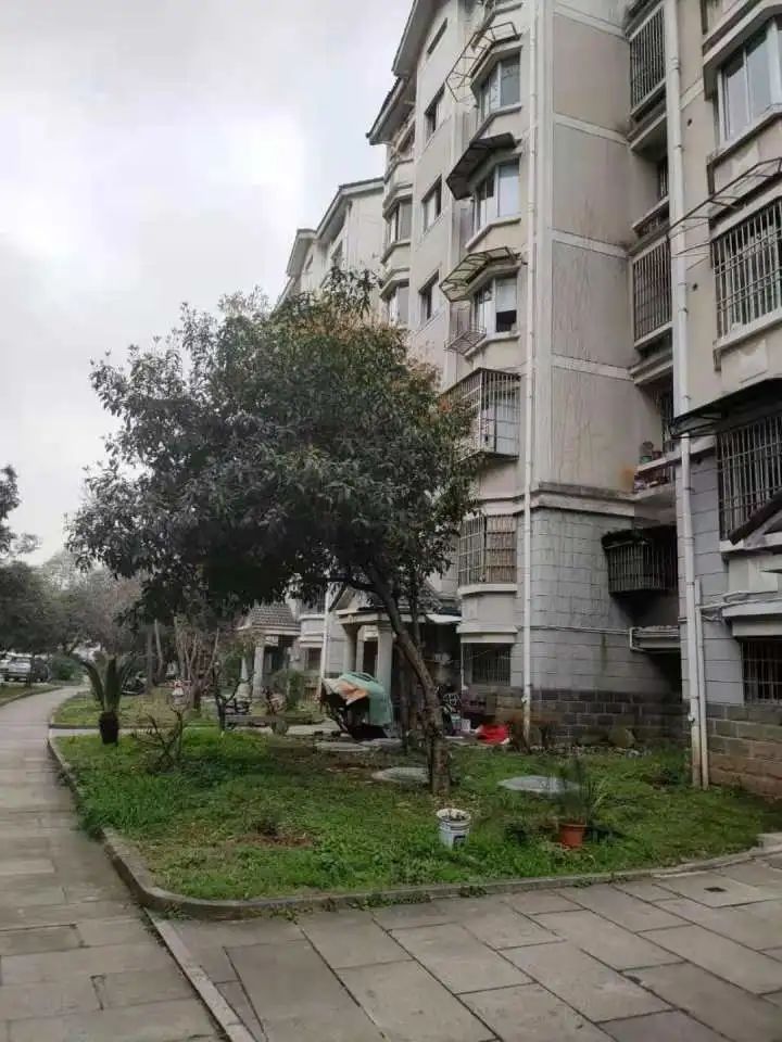 小伙突然上门报12年前一宿一饭之恩，浙江老人为何闭门不见？