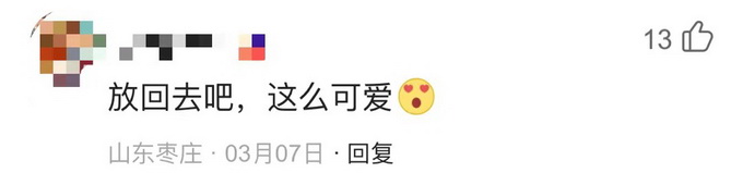 丹麦渔夫捕获赤魟宝宝！手一碰竟现神奇一幕，