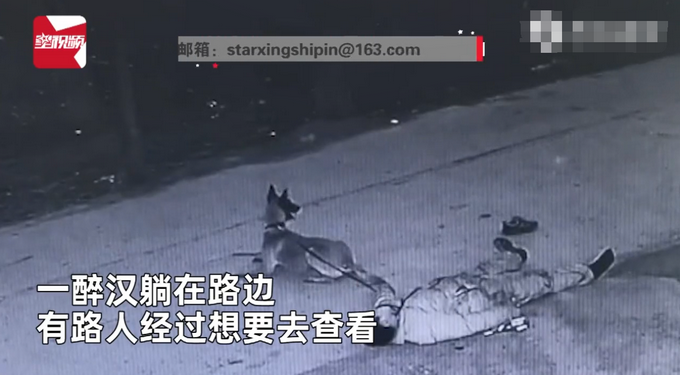 主人醉倒路边宠物狗忠心死守身旁！连声吼叫求救，路人却反被吓跑