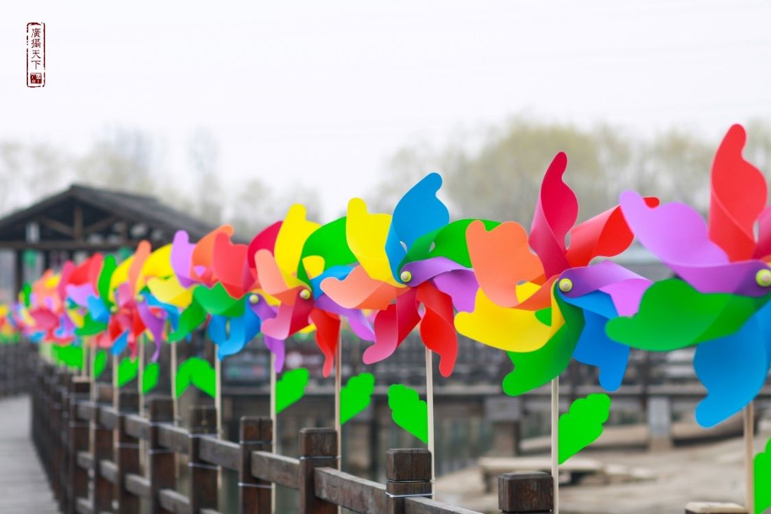 “石上花开”中华奇石城—沂蒙奇石花朝节华美绽放