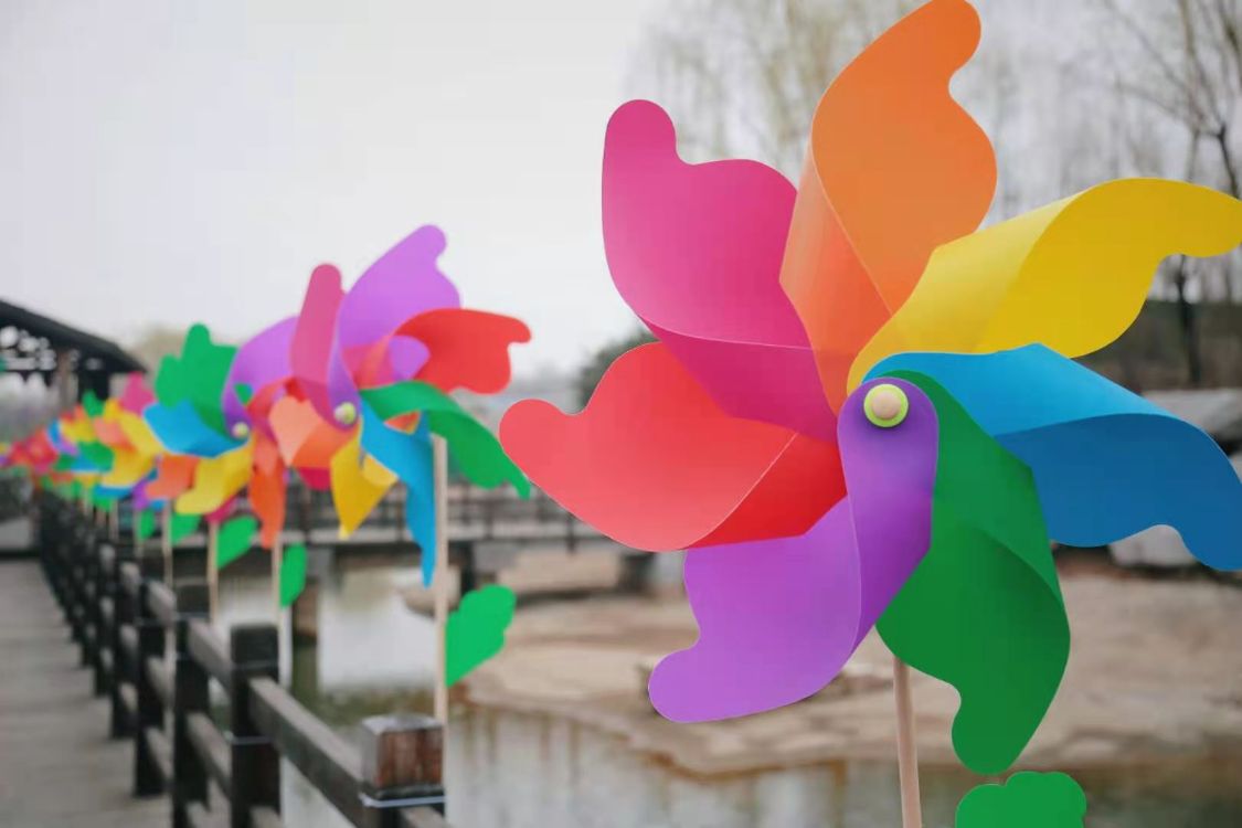 “石上花开”中华奇石城—沂蒙奇石花朝节华美绽放