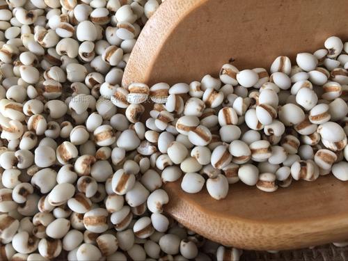 薏米生熟祛濕效果大不同，教您紅豆薏仁粥的正確打開方式