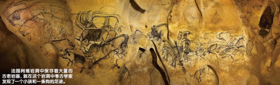 遠古人類小時候在做什麽？