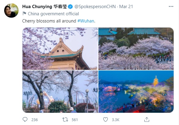 让樱花“说”更多武汉的美好故事 