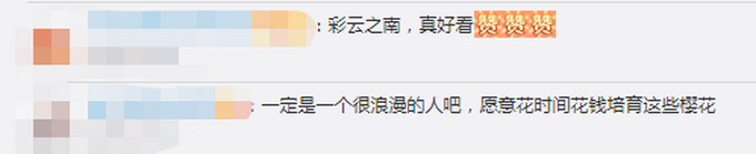 美翻了！村民花16年把荒山变粉色“画卷”，网友直呼浪漫