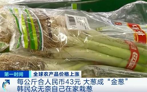 国际粮价暴涨，会影响中国人的“饭碗”吗？