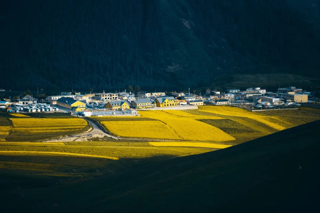 全國低風險地區自由行，這些目的地值得
