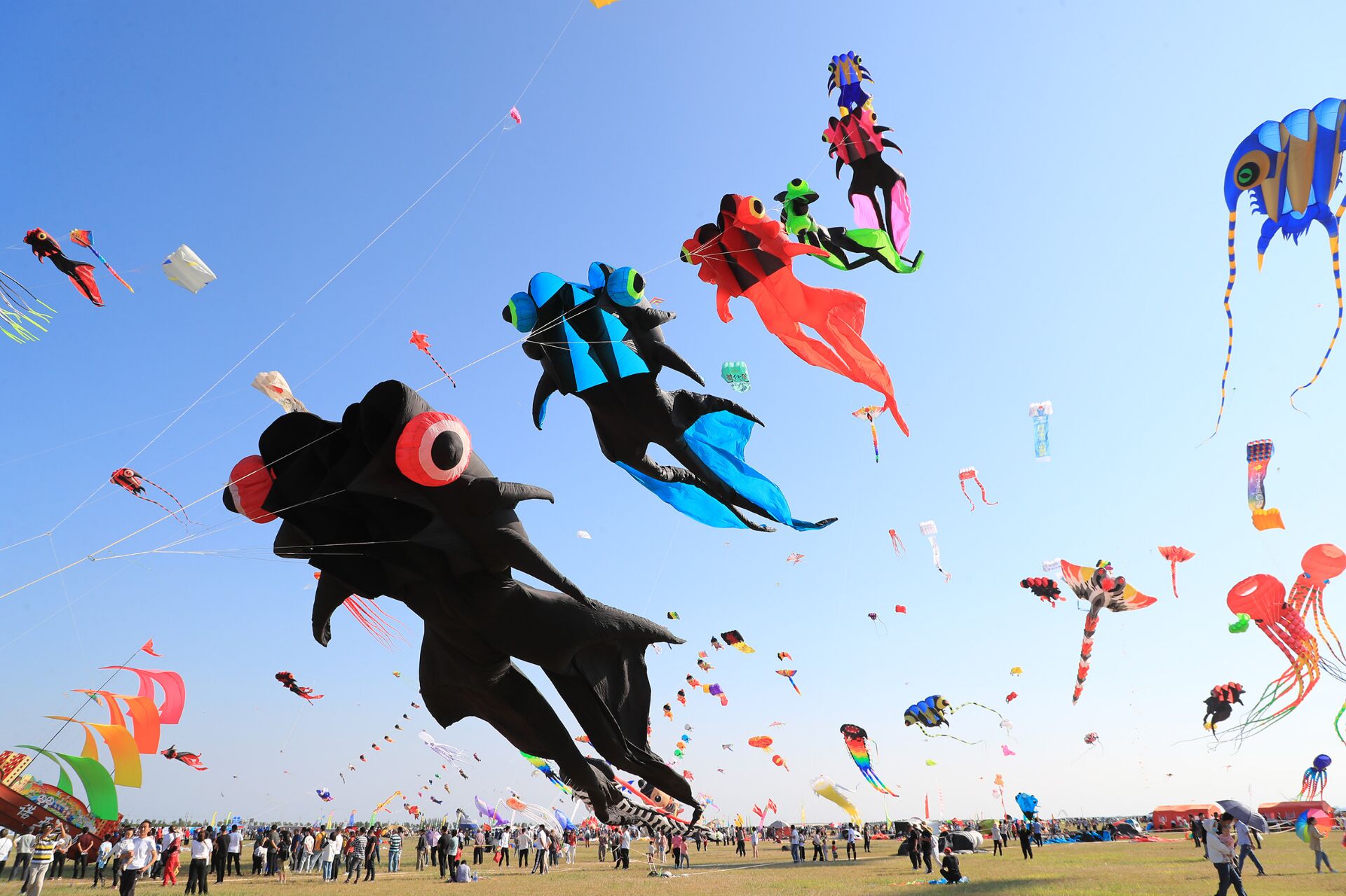 潍坊风筝节时间定了潍坊风筝会4月17日开幕20项活动等你参加