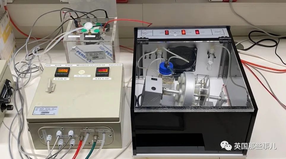 科学家发明人造子宫成功把小鼠胚胎养了6天！未来离生育自由还有多远？