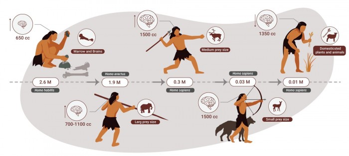 研究发现：人类曾在约200万年的时间里一直是顶级捕食者