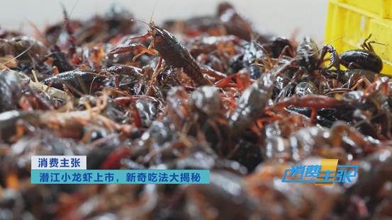 潜江小龙虾新鲜上市！价格上涨20%依然走俏→