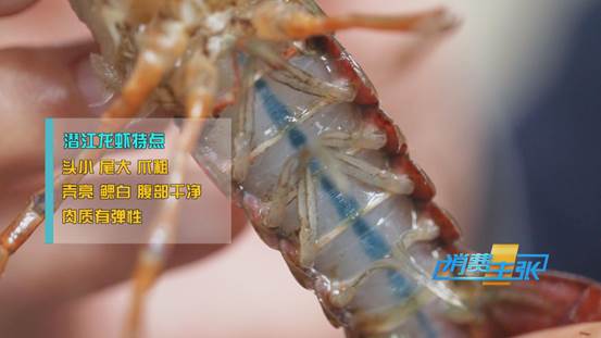 潜江小龙虾新鲜上市！价格上涨20%依然走俏→