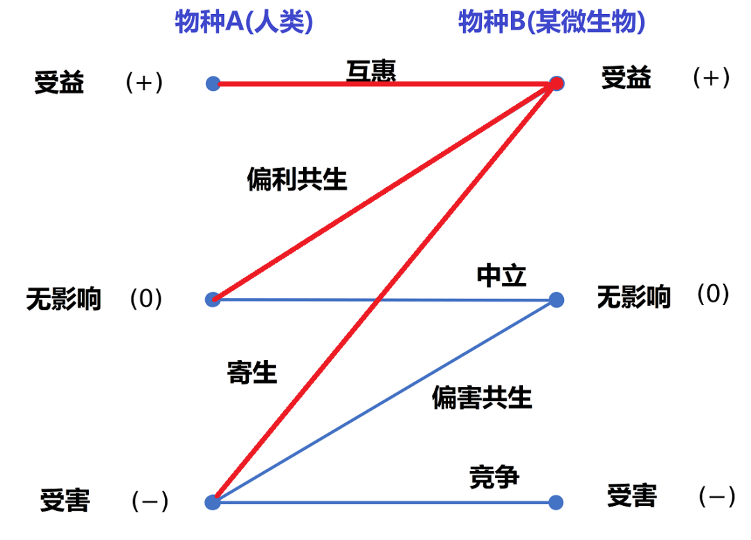 人是微生物的寄生兽吗 大象公会 大象公会 Mdeditor