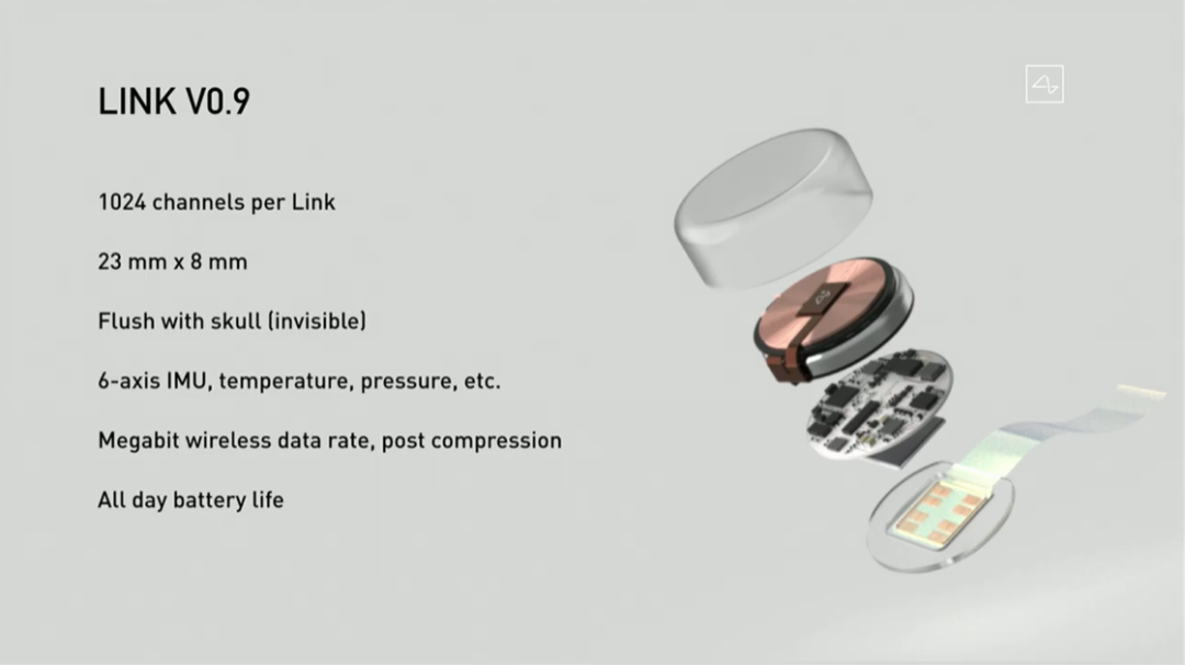 马斯克硬核黑科技！这只猴子大脑被“改造”，能用意念玩游戏，网友：比我玩得好