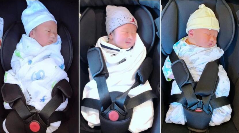 胡杏兒首公開三胎兒子正面照重達7.6斤個頭遠超兩個哥哥