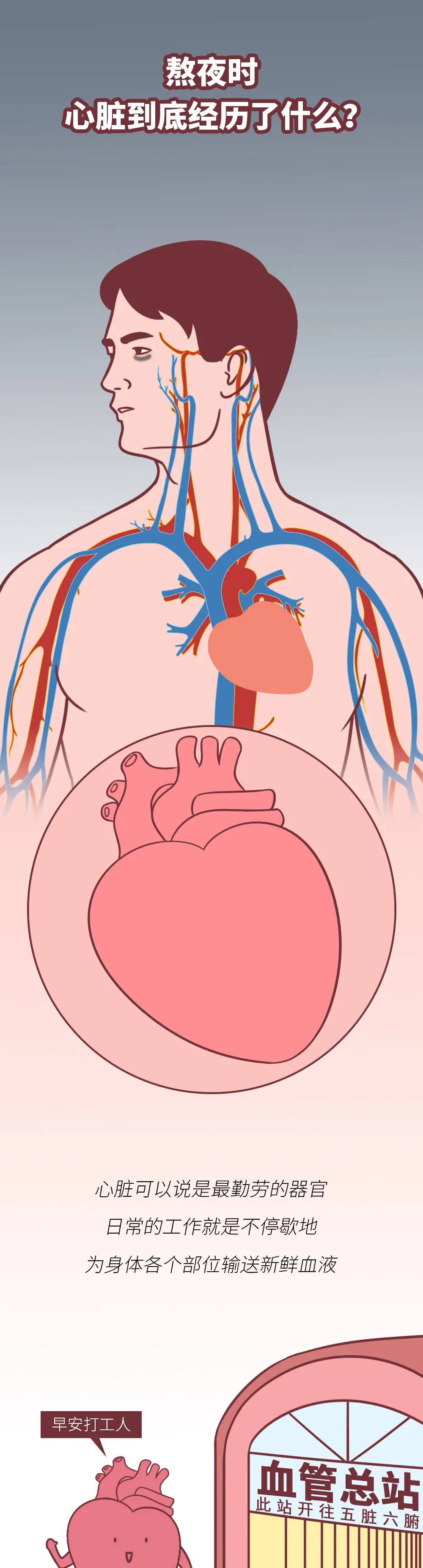 健康科普熬夜时为什么心脏会咯噔一下看完一阵后怕