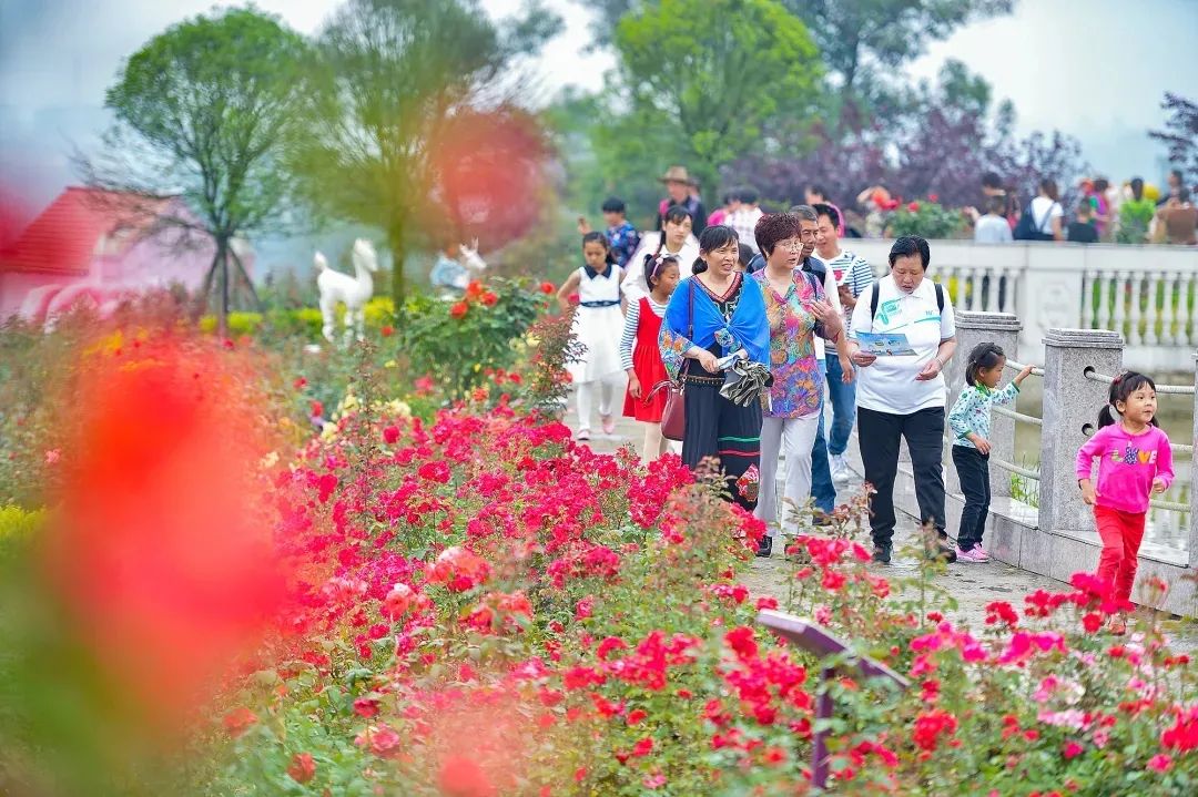 观灯、看恐龙、赏花摘果，“五一”来自贡狂欢吧！