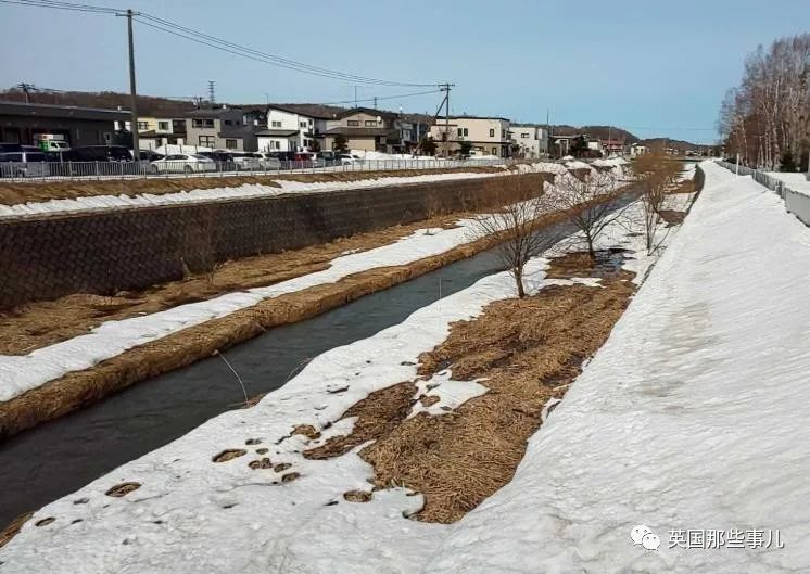 14岁少女长期遭同学性霸凌，失踪38天后死在雪中…背后，太多人难辞其咎…