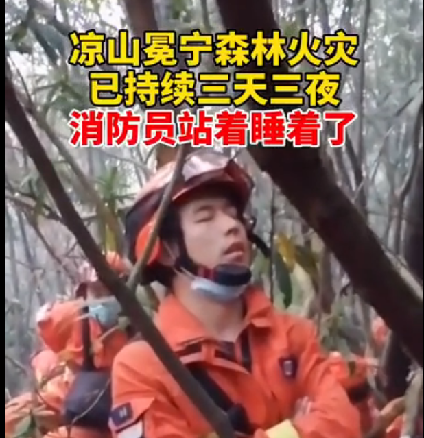 致敬！四川涼山森林大火已持續(xù)5天，有消防員站著睡著了
