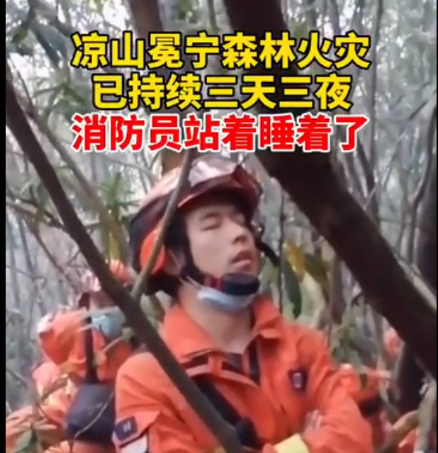 致敬！四川凉山森林大火已持续5天，有消防员站着睡着了