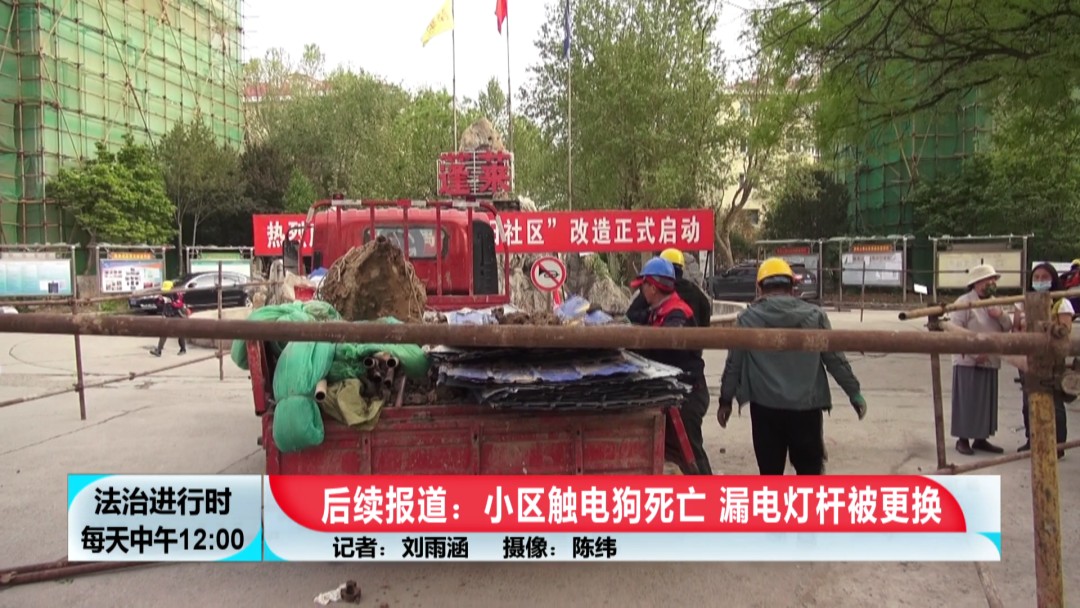 北京奇案：小狗在小區內觸電身亡，居民要求電改卻遭波折