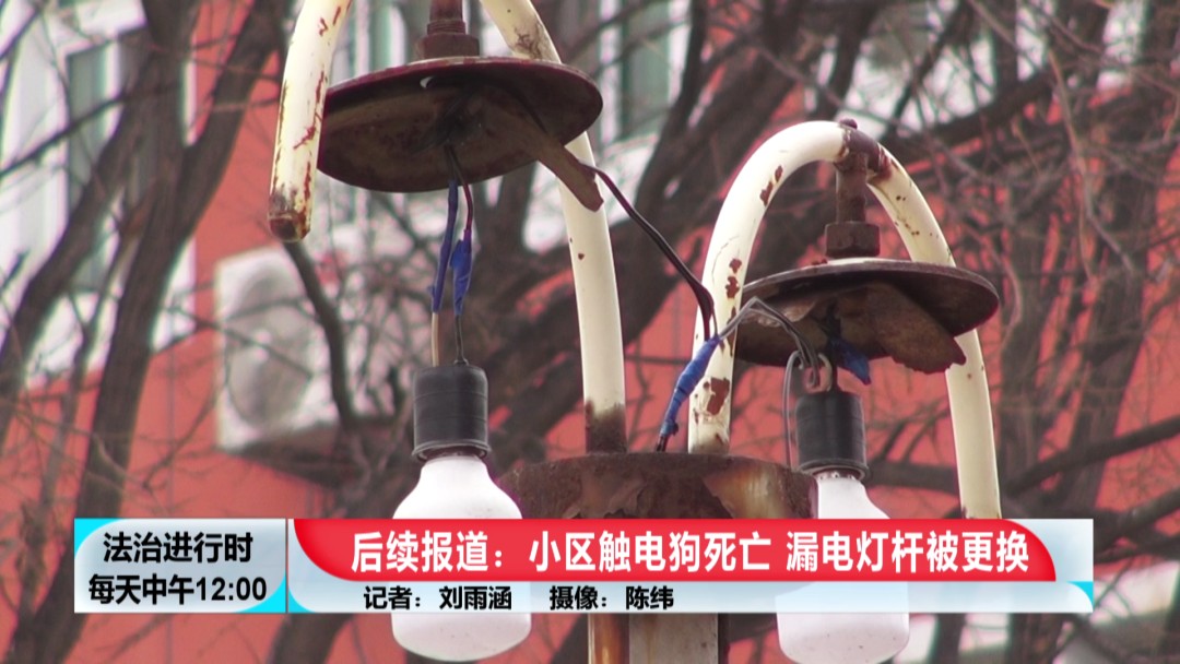 北京奇案：小狗在小区内触电身亡，居民要求电改却遭波折-第3张图片-大千世界