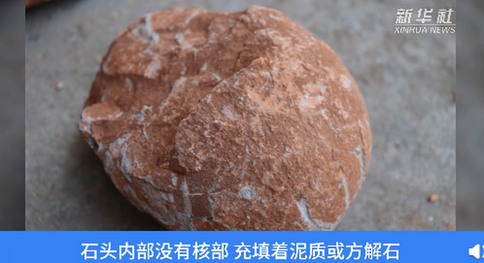 江西工地挖出6600萬年前恐龍蛋化石！看這個樣子，網友：太像牛肉了