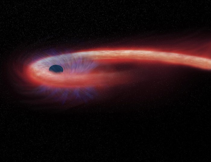 天文学家首次探测到被黑洞消化的恒星传达出的最后信息-第1张图片-IT新视野