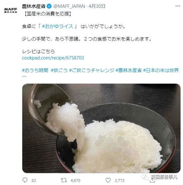 日本官方推荐白粥盖浇饭，霓虹的米饭盛宴，彻底让人看懵了