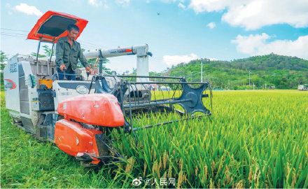 袁隆平院士团队再传喜讯！超优千号水稻平均亩产1004.83公斤
