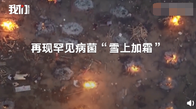 印度暴发罕见病菌，致死率达50%！新冠患者康复不久又感染死亡