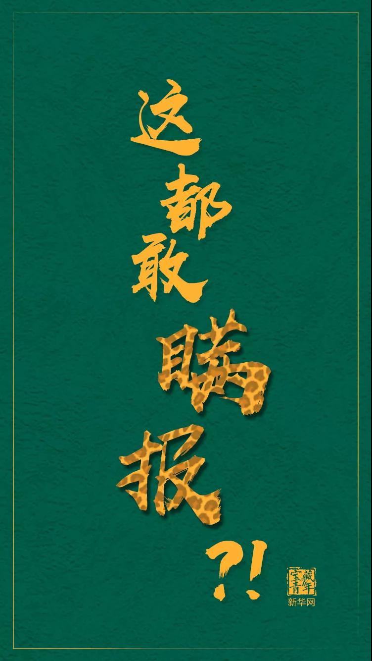 专家：第3只豹子，可能已经死亡……