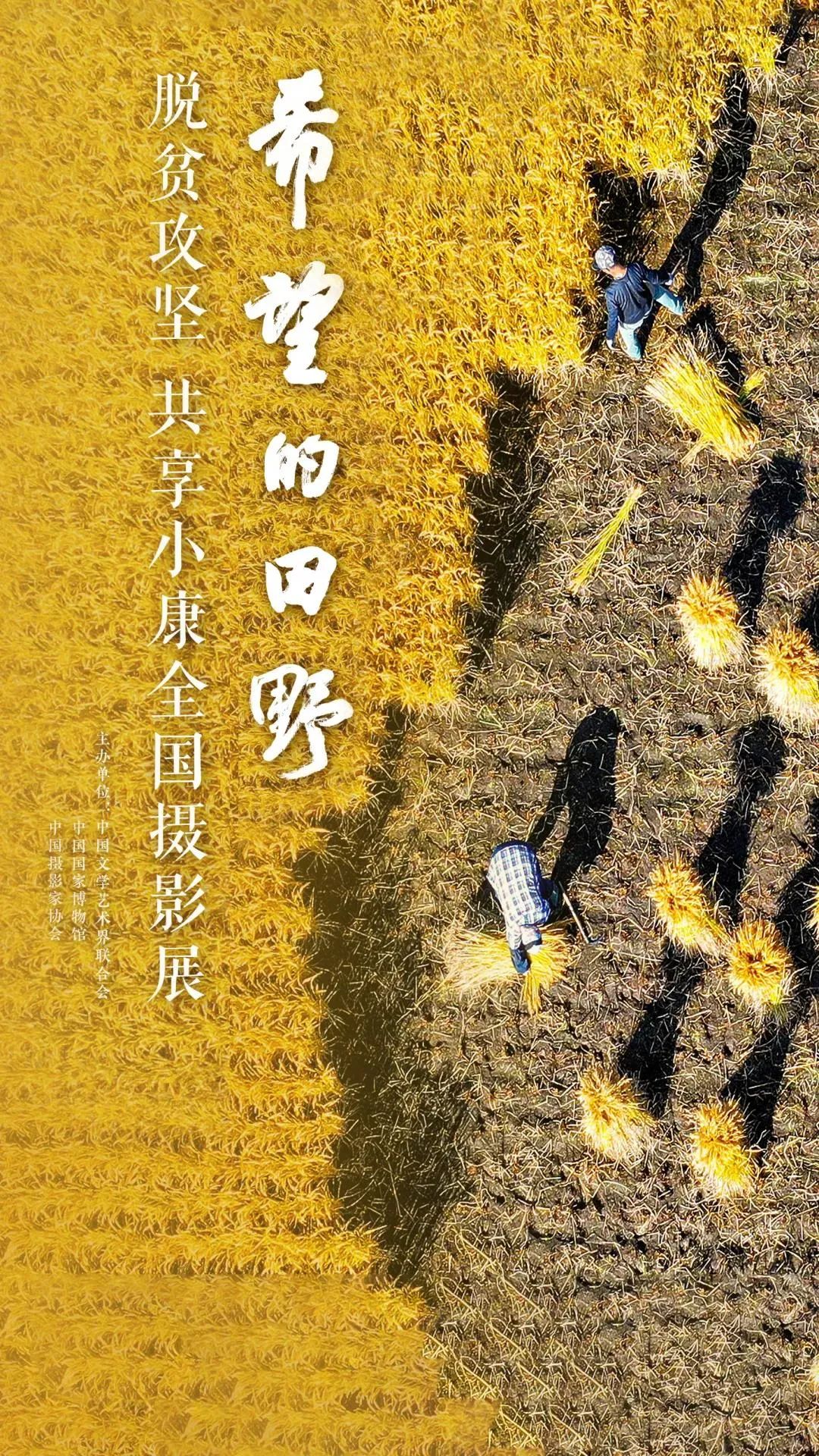 武汉女摄影师，因为一个湖，爱上一座城