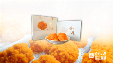 嵩明“菌視界”被推介為“中國食用菌行業具成長性卓越品牌”
