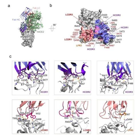 �й�ר���з��¹ڲ����кͿ��� ��������������Ⱥ�����ƴ���