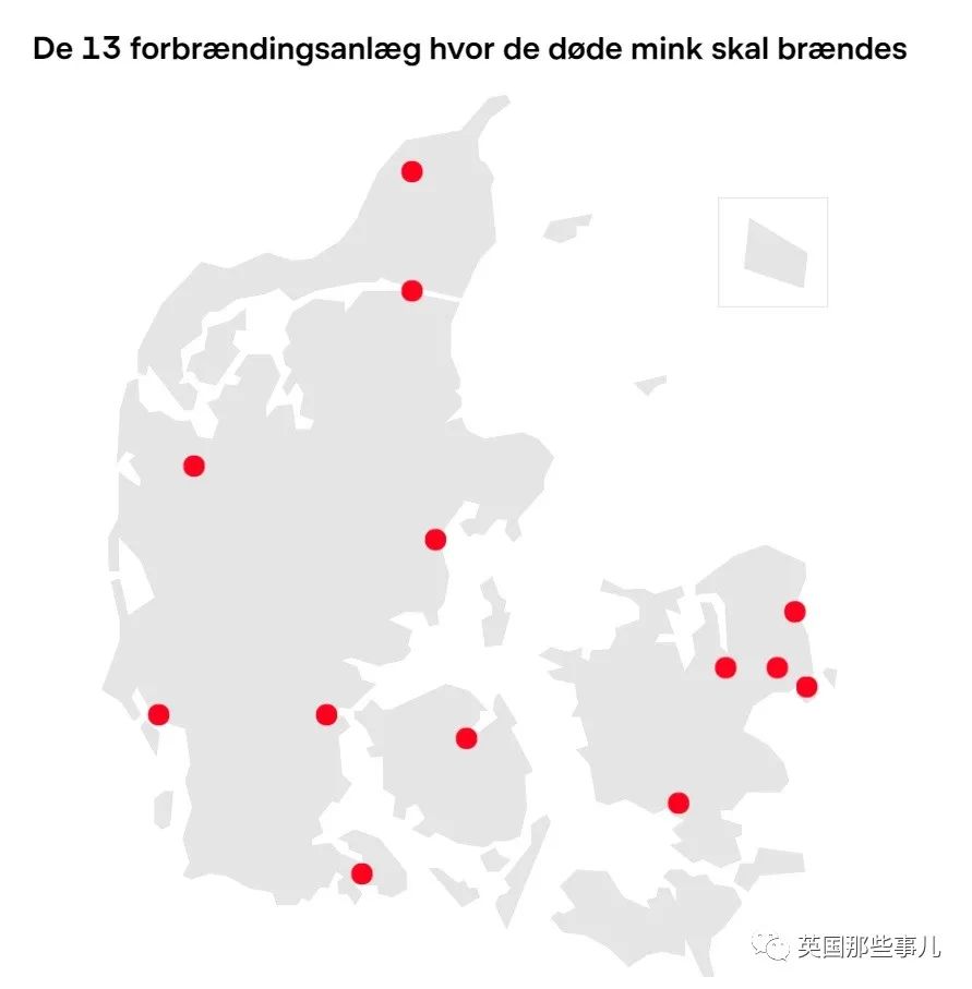 丹麦去年杀光全国水貂，如今又要把13000吨尸体挖出来？这…