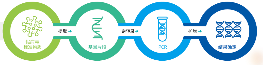 计量在核酸检测中的作用，很多人都不知道