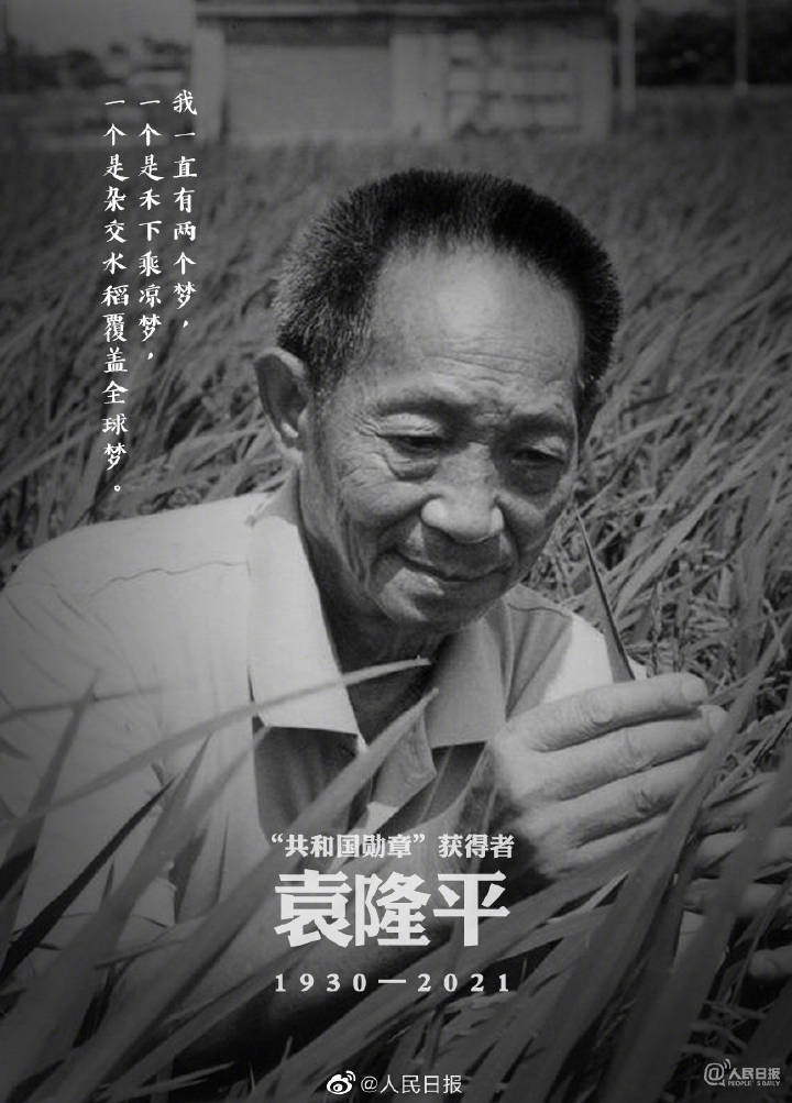 袁隆平院士逝世，知情人士透露上午还在医院抢救，没有做手术