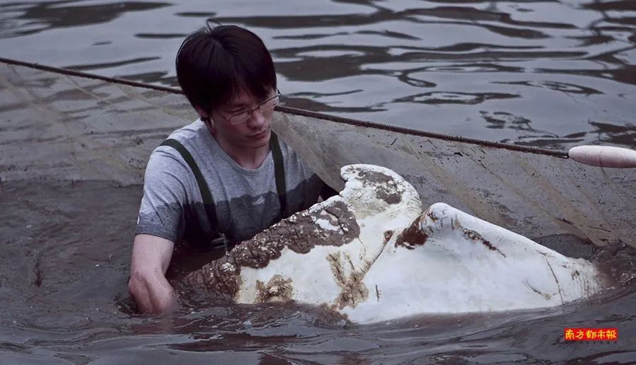 白海豚大逃杀