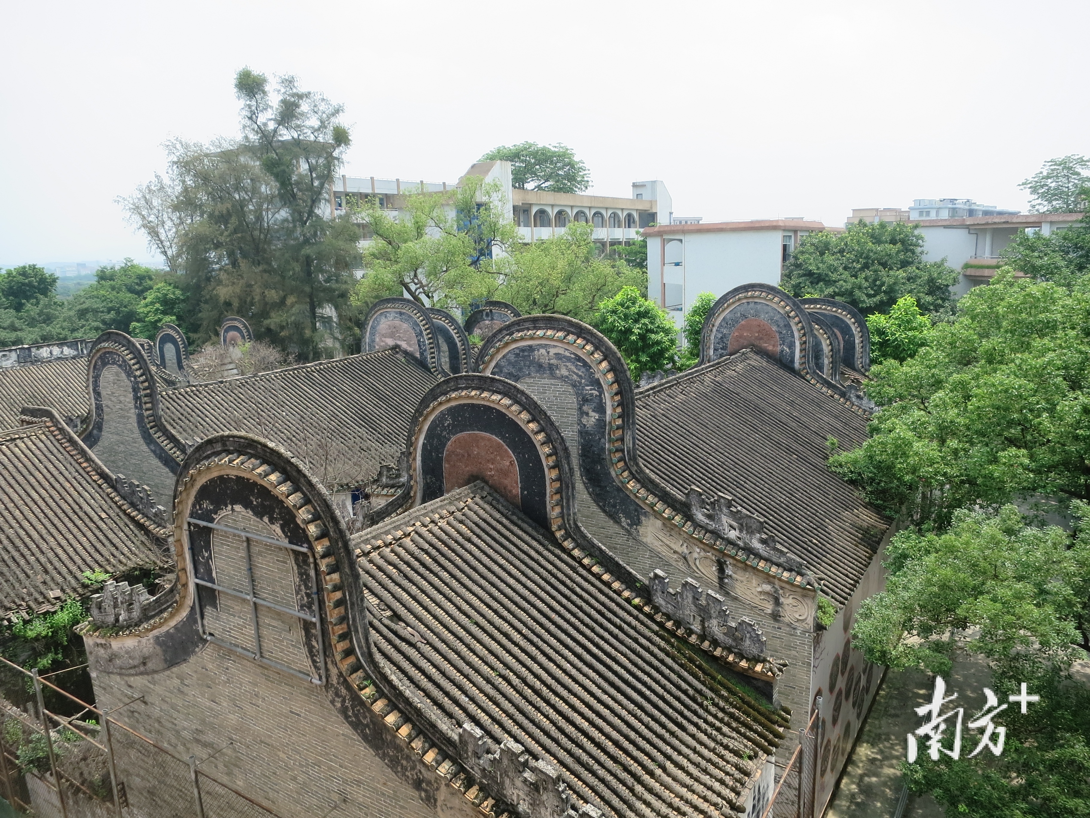 廣東省第二師范附屬小學培養(yǎng)有情懷的現(xiàn)代小公民(圖4) 廣東省第二師范附屬小學培養(yǎng)有情懷的現(xiàn)代小公民(圖4)