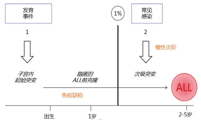 孩子“太干净“更易得白血病？预防白血病的正确打开方式