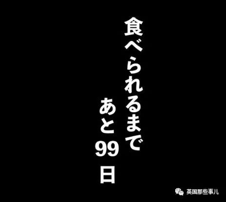 他开了个频道记录养迷你猪可爱日常，为的是100天后把它吃掉