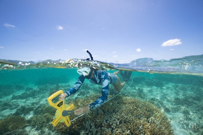 新研究发现全球珊瑚礁可能在2054年左右停止钙化