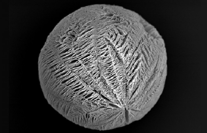 細(xì)菌性陰道炎癥狀分析 3個偏方擺脫細(xì)菌性陰道炎