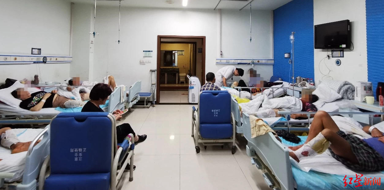 四川宜宾泸州多人被蛇咬伤 医院：端午前后毒蛇活动频繁，注意防范