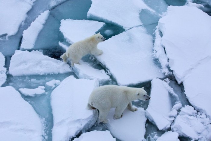 研究发现北极沿海海冰变薄的速度可能比此前认为的要快一倍