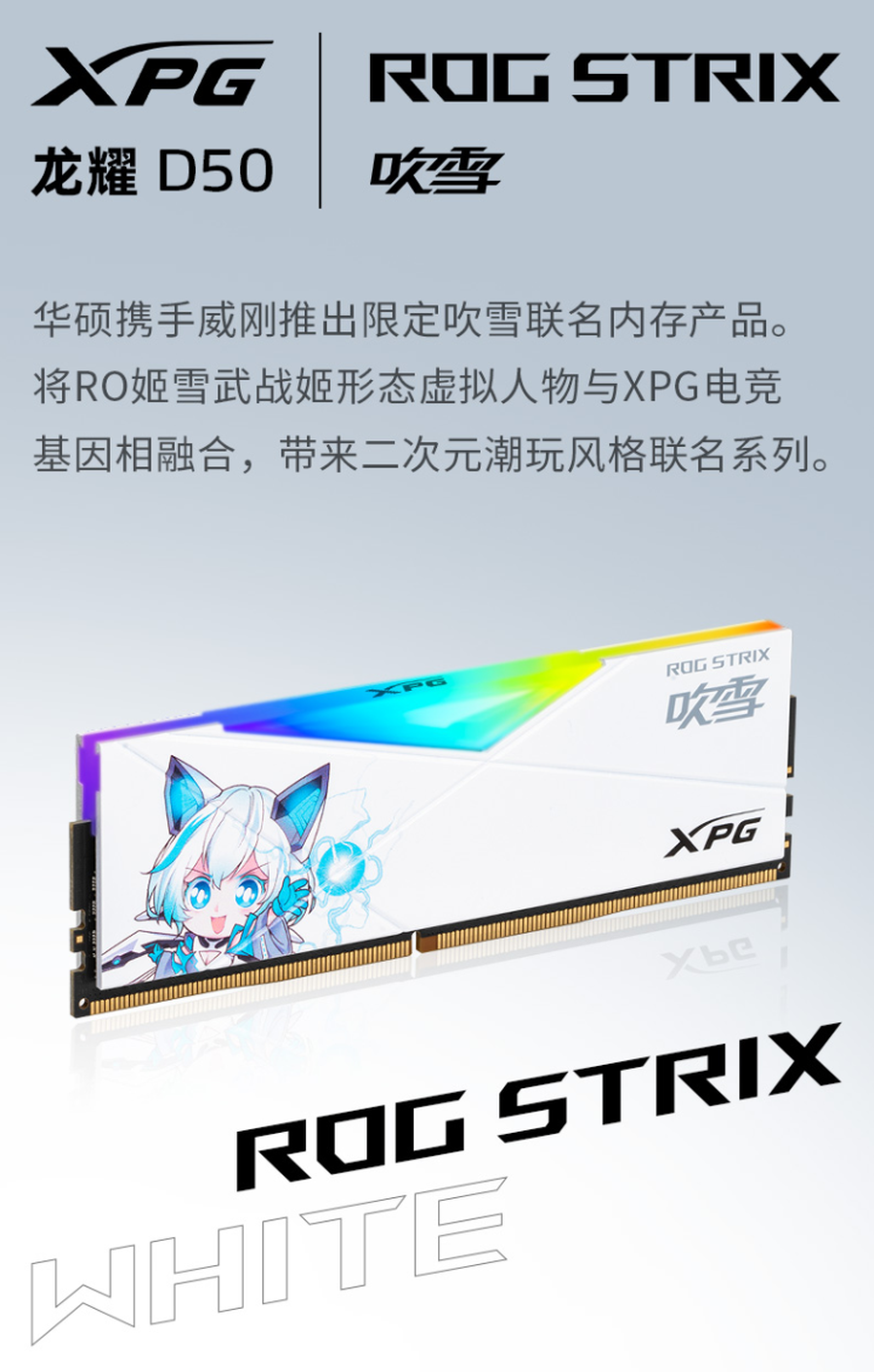 威刚x ROG联名，推出D50“吹雪”二次元内存