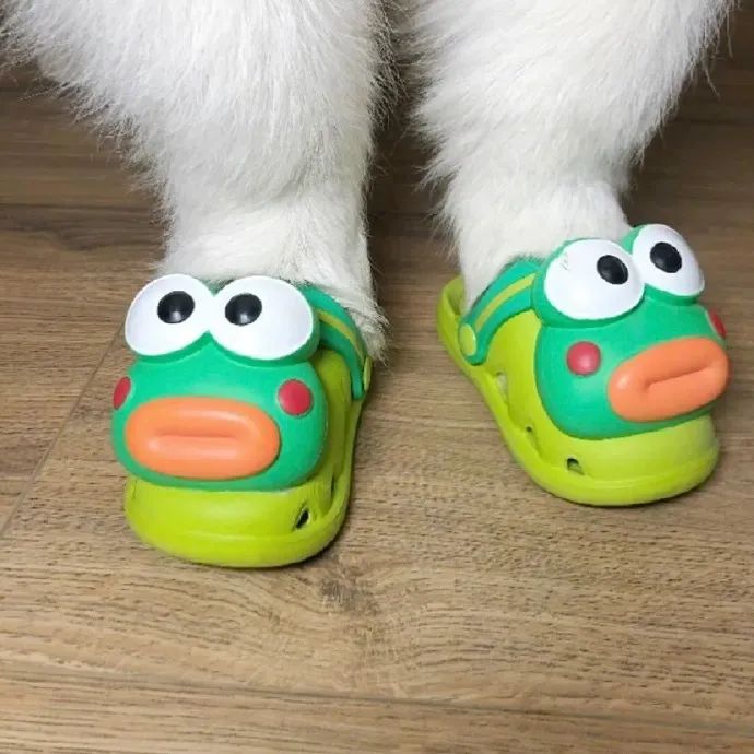 今日头像丨把悲伤告别