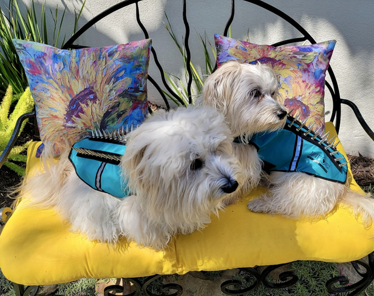 它正在残忍地杀死人们的宠物狗...